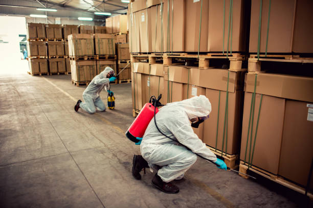 Best Pest Control Treatment  in Le Center, MN