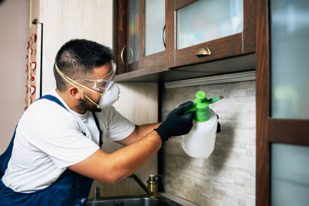Best Exterminator Services  in Le Center, MN