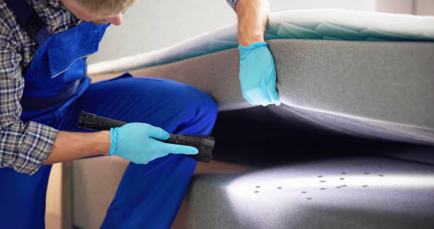 Best Pest Control Near Me in Le Center, MN