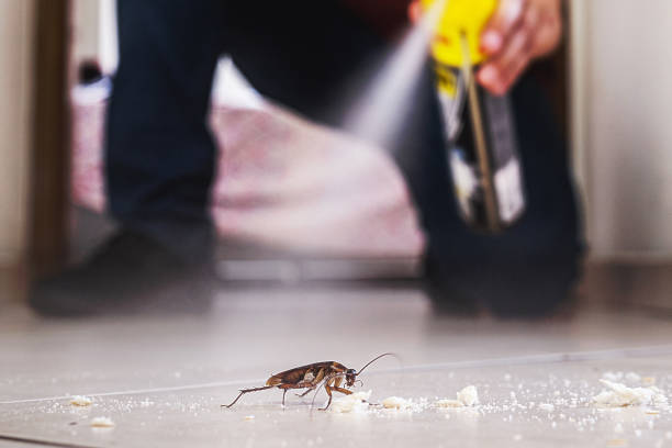 Best Pest Inspection Near Me  in Le Center, MN