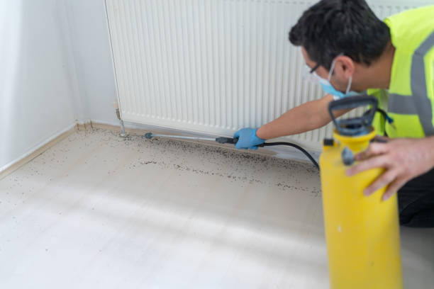 Best Bed Bug Extermination  in Le Center, MN